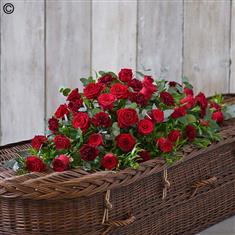 Rose and Carnation Casket Spray - Red 3ft