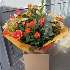 All the Fun of Spring