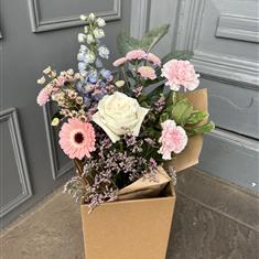 Pastel Surprise
