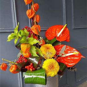 fwthumb20170901_153201.jpg